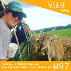 Life On Earth Podcast