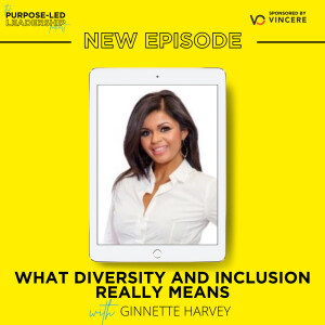 EP23 - What Diversity and Inclusion Really Means with Ginnette Harvey