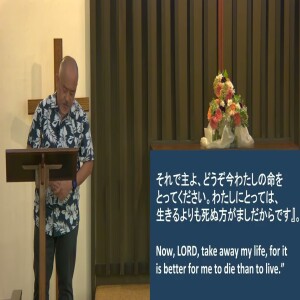 ヨナ:嵐、魚、とうごま、虫を通して主は語られる - Jonah: The Lord speaks through a storm, fish, leafy plant, and worm