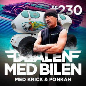 DEALEN MED BILEN #230