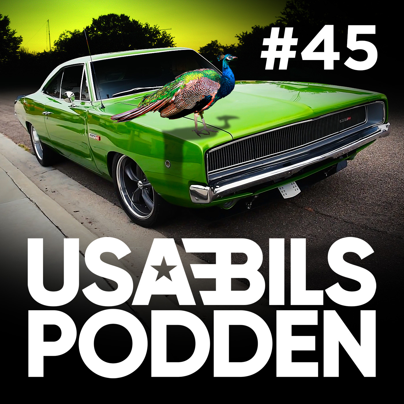 USA-BILS PODDEN #45