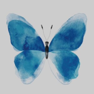 #113. Papillon - nivel B2