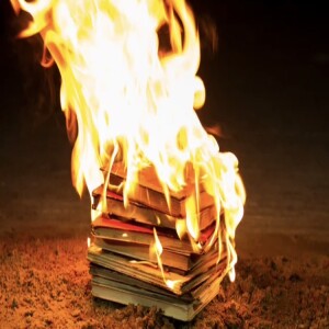 #20. Fahrenheit 451 - nivel C1