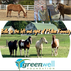 Horses Know Us Best: Visit to Greenwell Foundation in Hollywood, Maryland