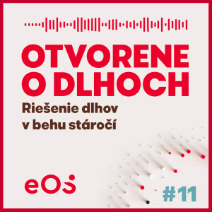 Riešenie dlhov v behu stáročí