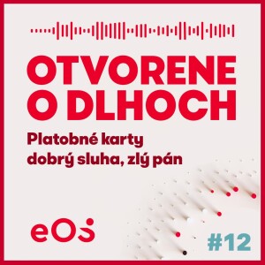 Platobné karty - dobrý sluha, zlý pán