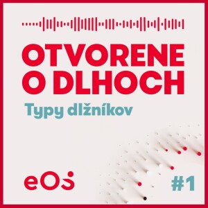 Typy dlžníkov