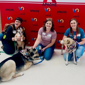 Animal Shelter Educators