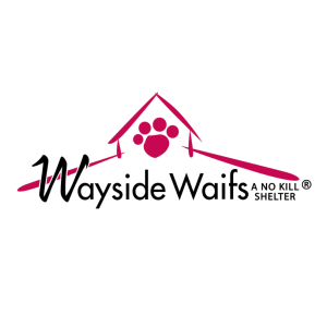 Introducing Wayside Tails!