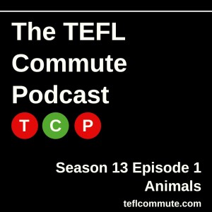 Episode 88: Season 13 Episode 1: Animals