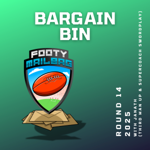 Bargain Bin (with Janath from Third Man Up & SuperCoach Swordplay)