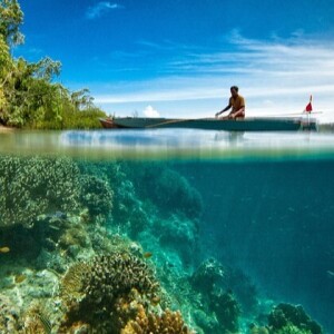 Finding Coco:  Coral Reef Restoration in the Island of the Gods