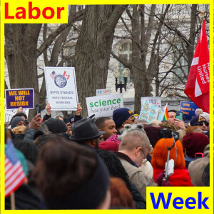 Labor Week For February 14 2025 - Thank You Union Lawyers!