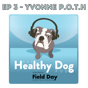Pets of the Homeless with Yvonne Hong