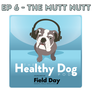 Masculine Stereotypes in Dog Training with Simon, The Mutt Nut