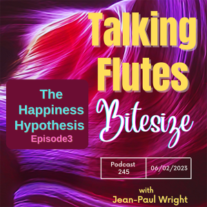 The Happiness Hypothesis - Bitesized E:3 Podcast 247