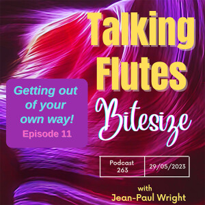 Getting out of your own way! Bitesize E:11 Podcast 263 with Jean-Paul Wright