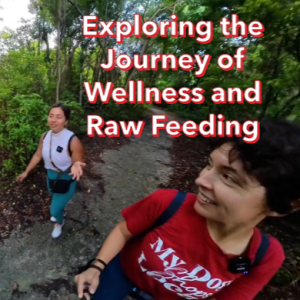 Exploring the Journey of Wellness and Raw Feeding