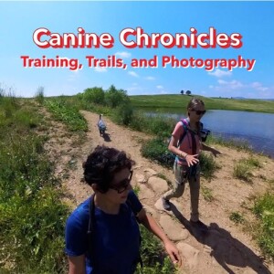 Canine Chronicles: Training, Trails, and Photography