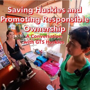 Saving Huskies and Promoting Responsible Ownership: A Conversation with GTS Huskies