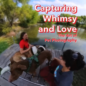 Capturing Whimsy and Love: The Art of Pet Photography