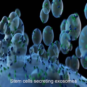 Episode 7: Stem Cell science and controversy