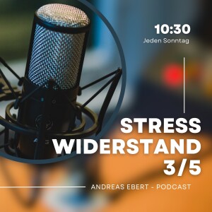 #47 - 3/5 - Stressbewältigung und innerer Widerstand: Ein Weg zur Selbstakzeptanz beim Stressmanagement