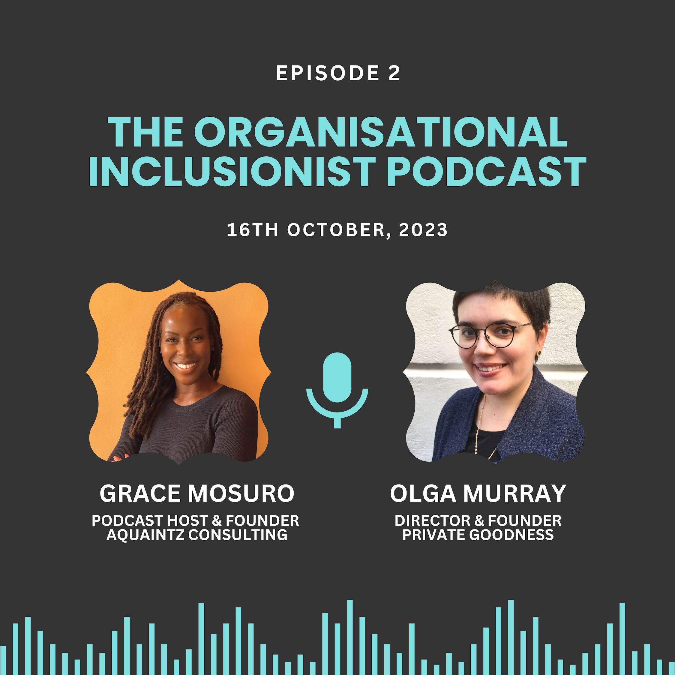 The Organisational Inclusionist