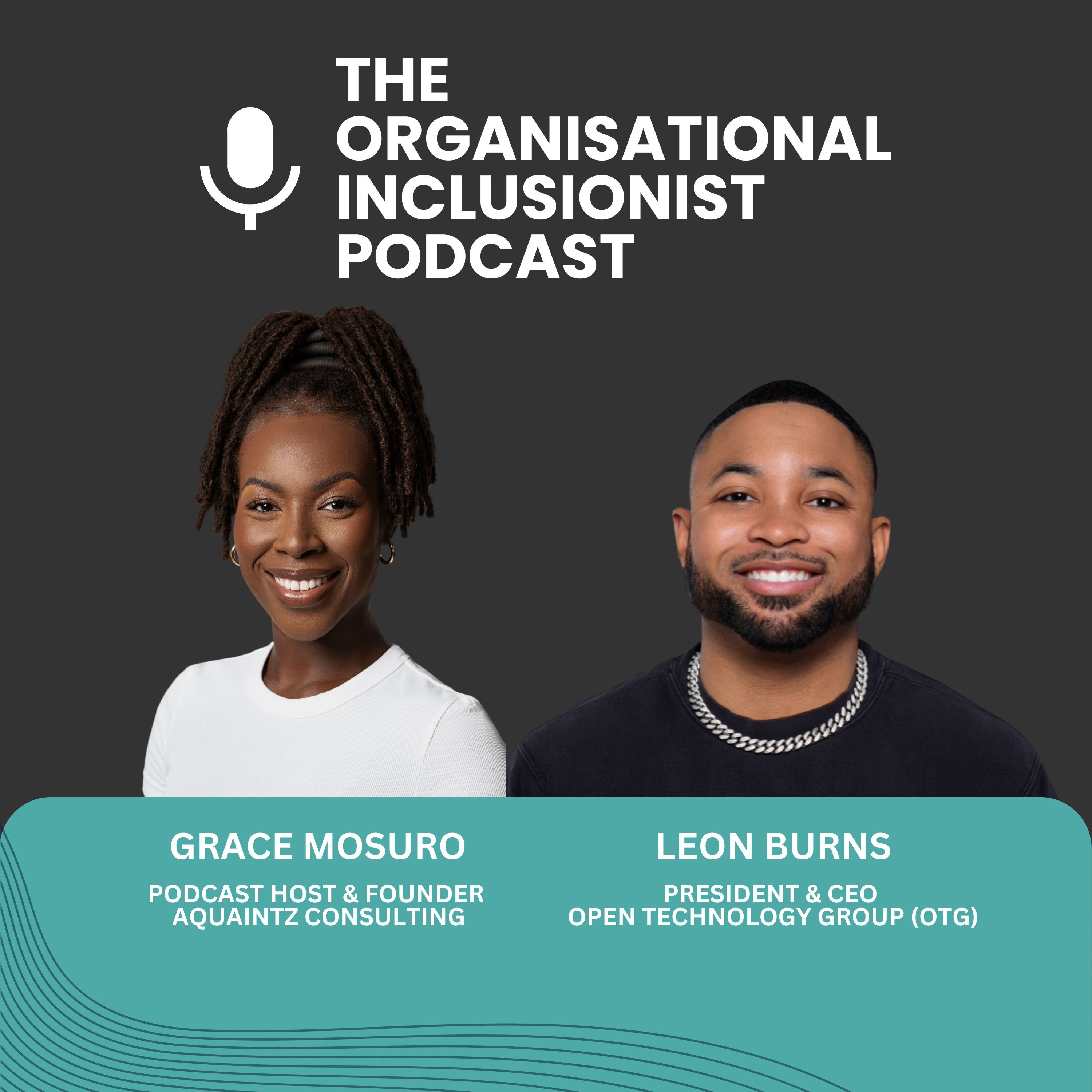 The Organisational Inclusionist