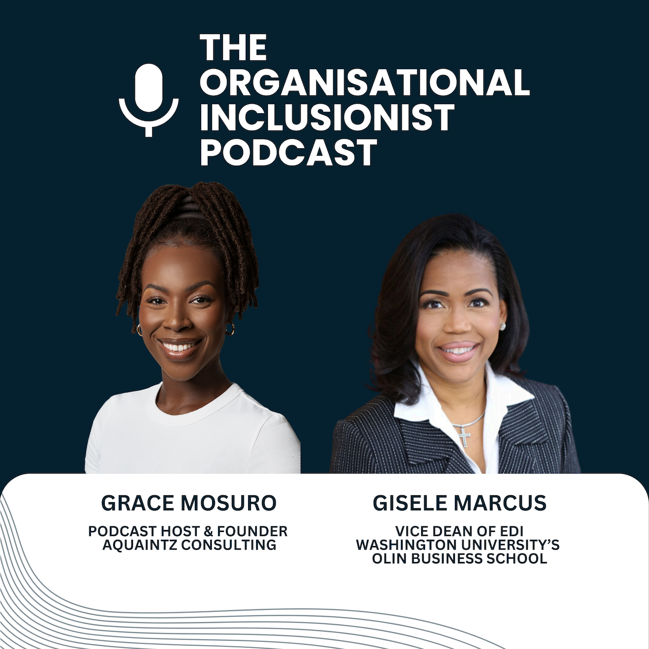 The Organisational Inclusionist