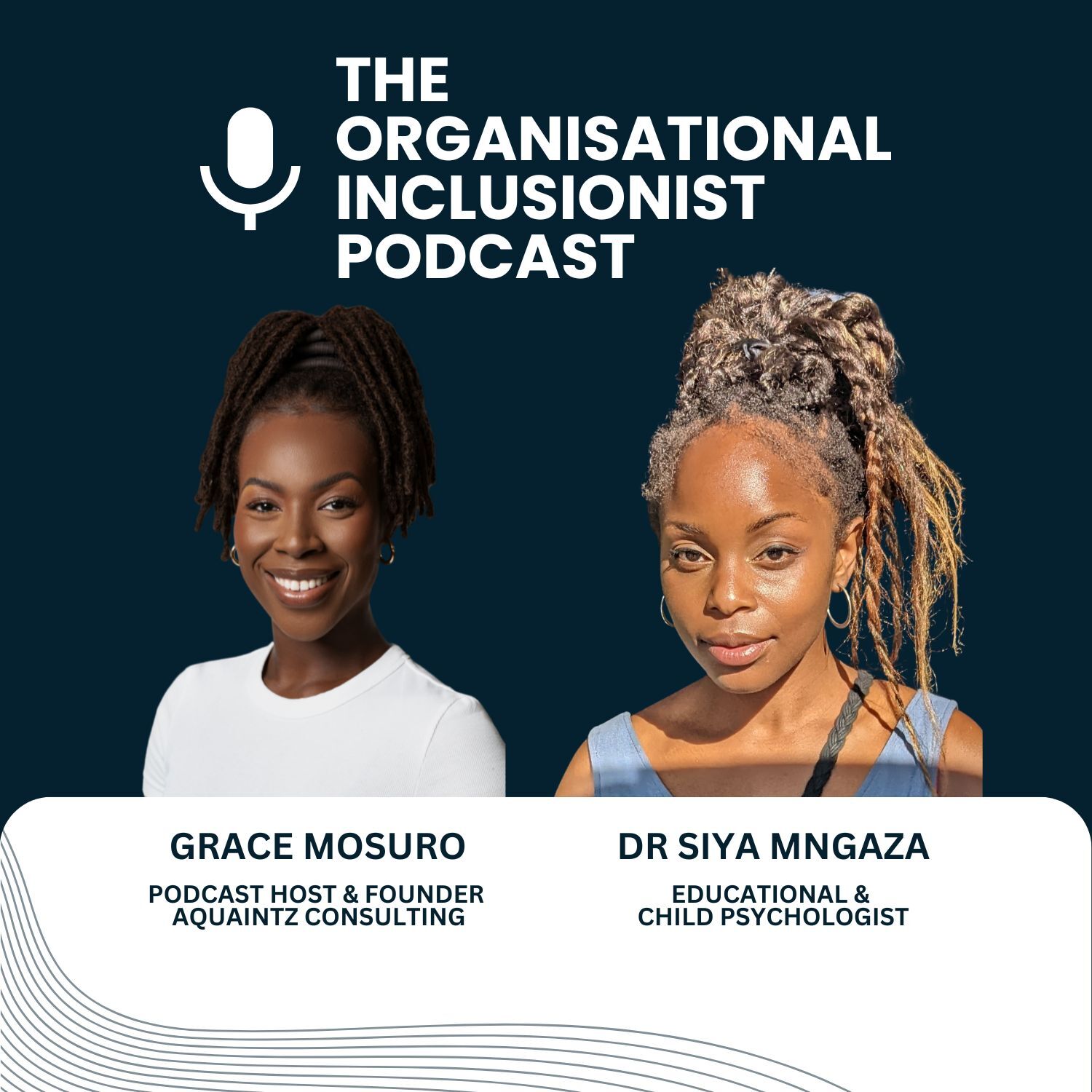 The Organisational Inclusionist