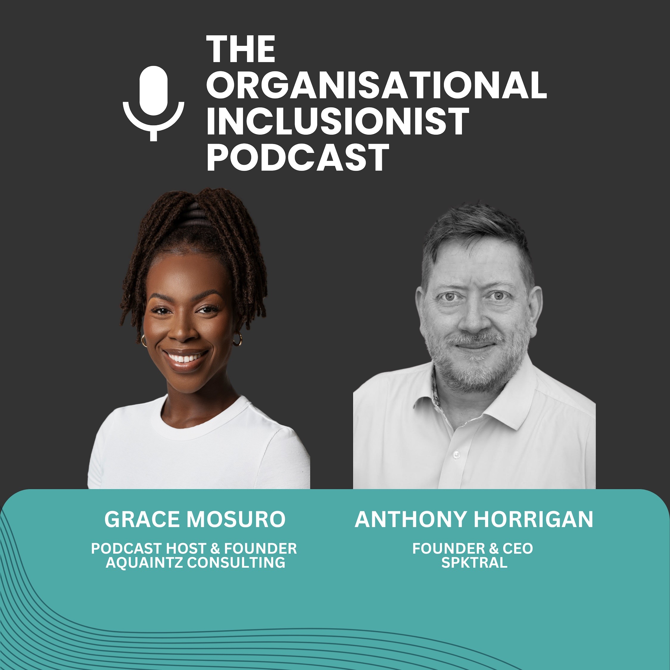 The Organisational Inclusionist