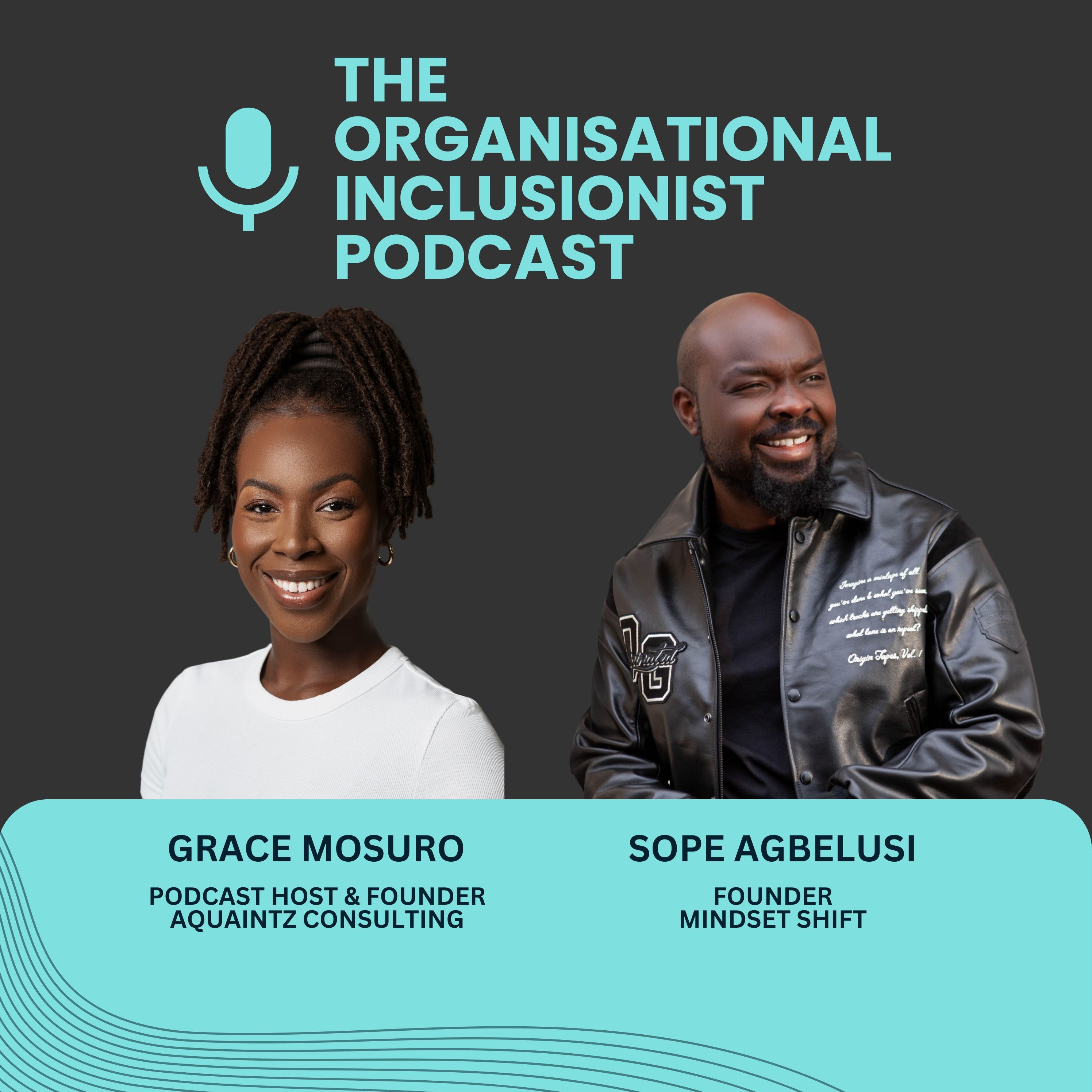 The Organisational Inclusionist