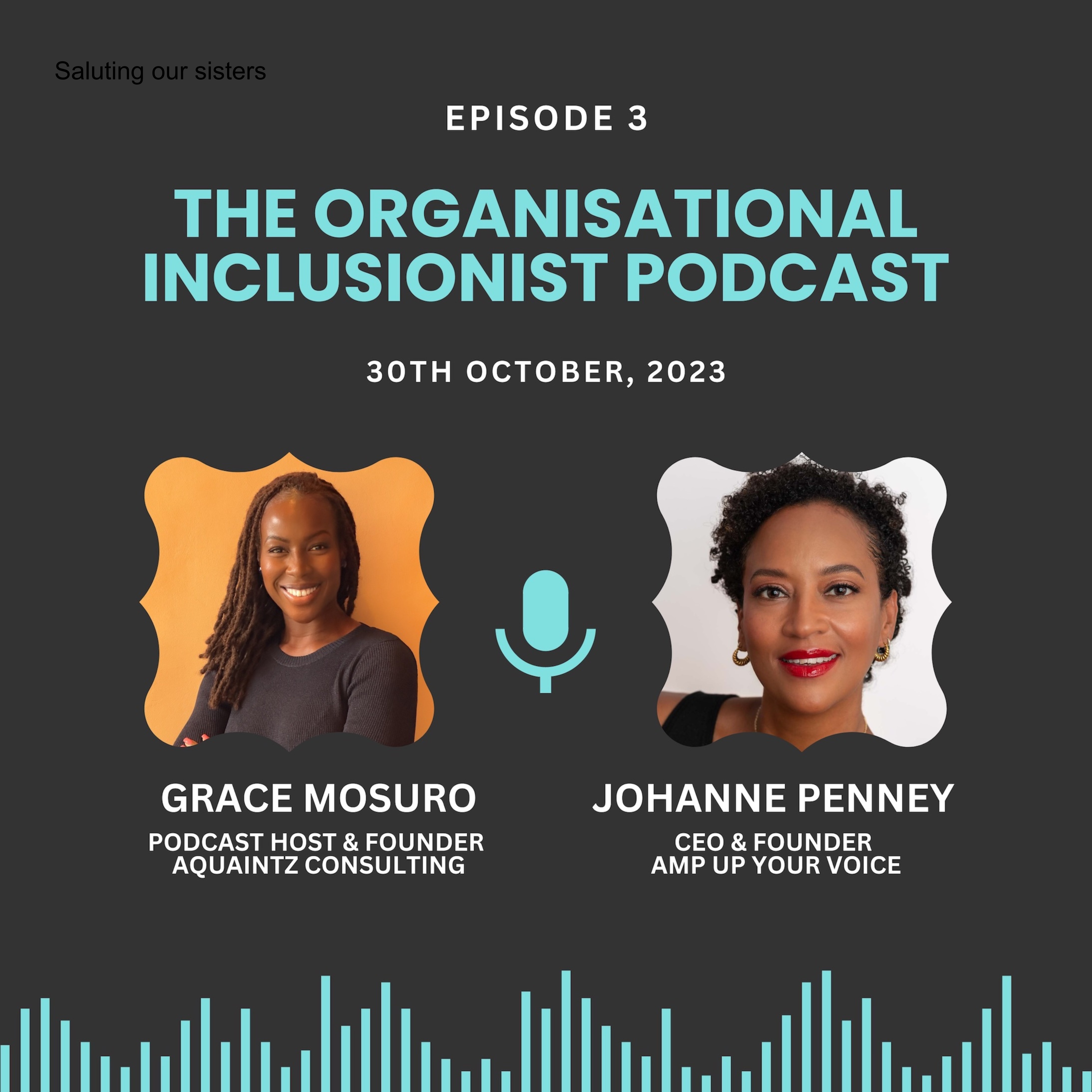 The Organisational Inclusionist