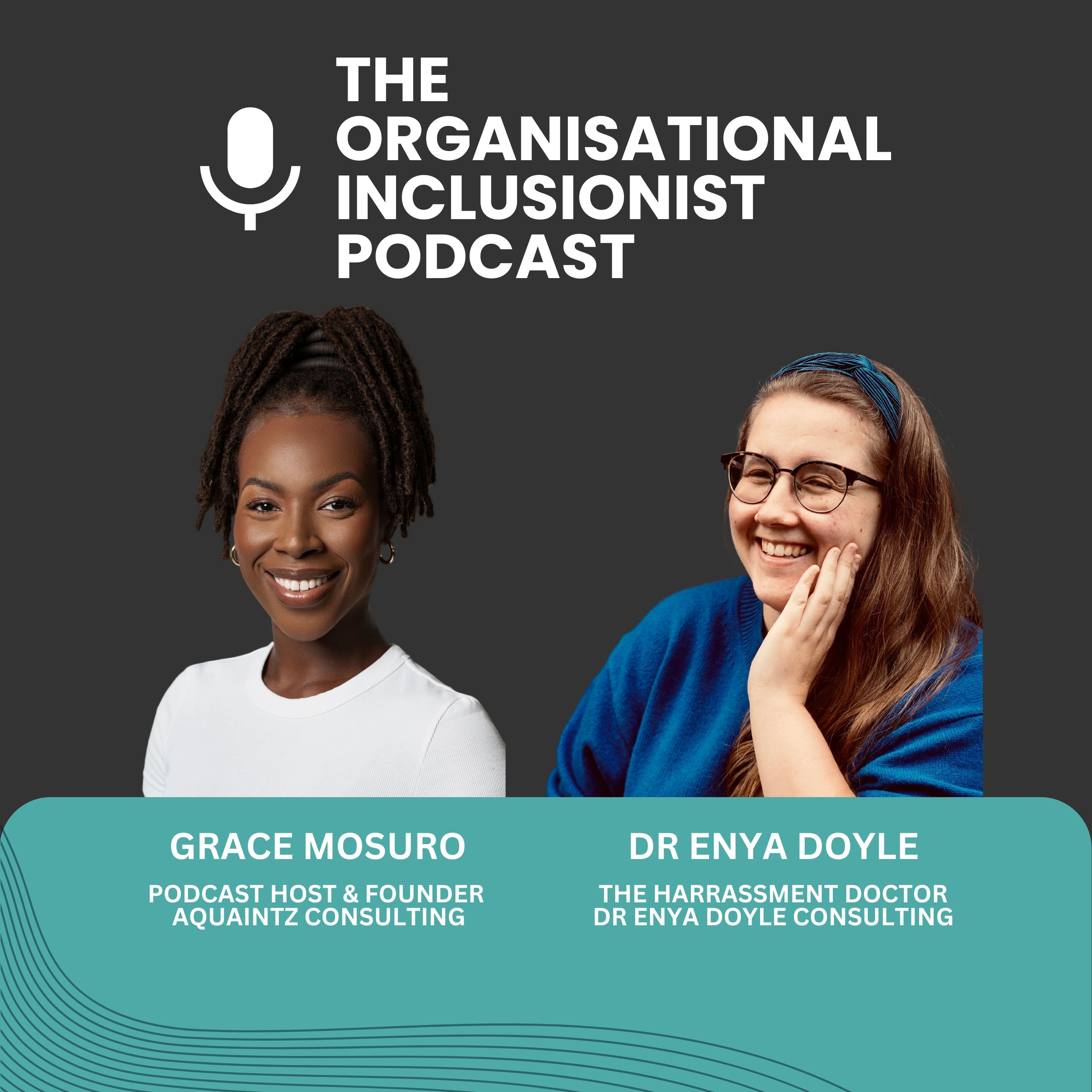 The Organisational Inclusionist