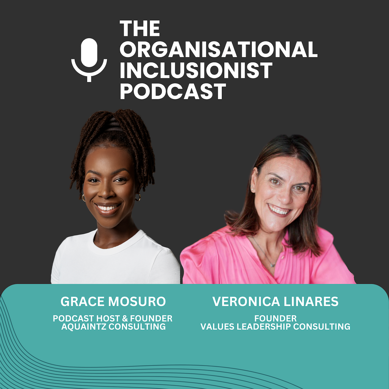 The Organisational Inclusionist