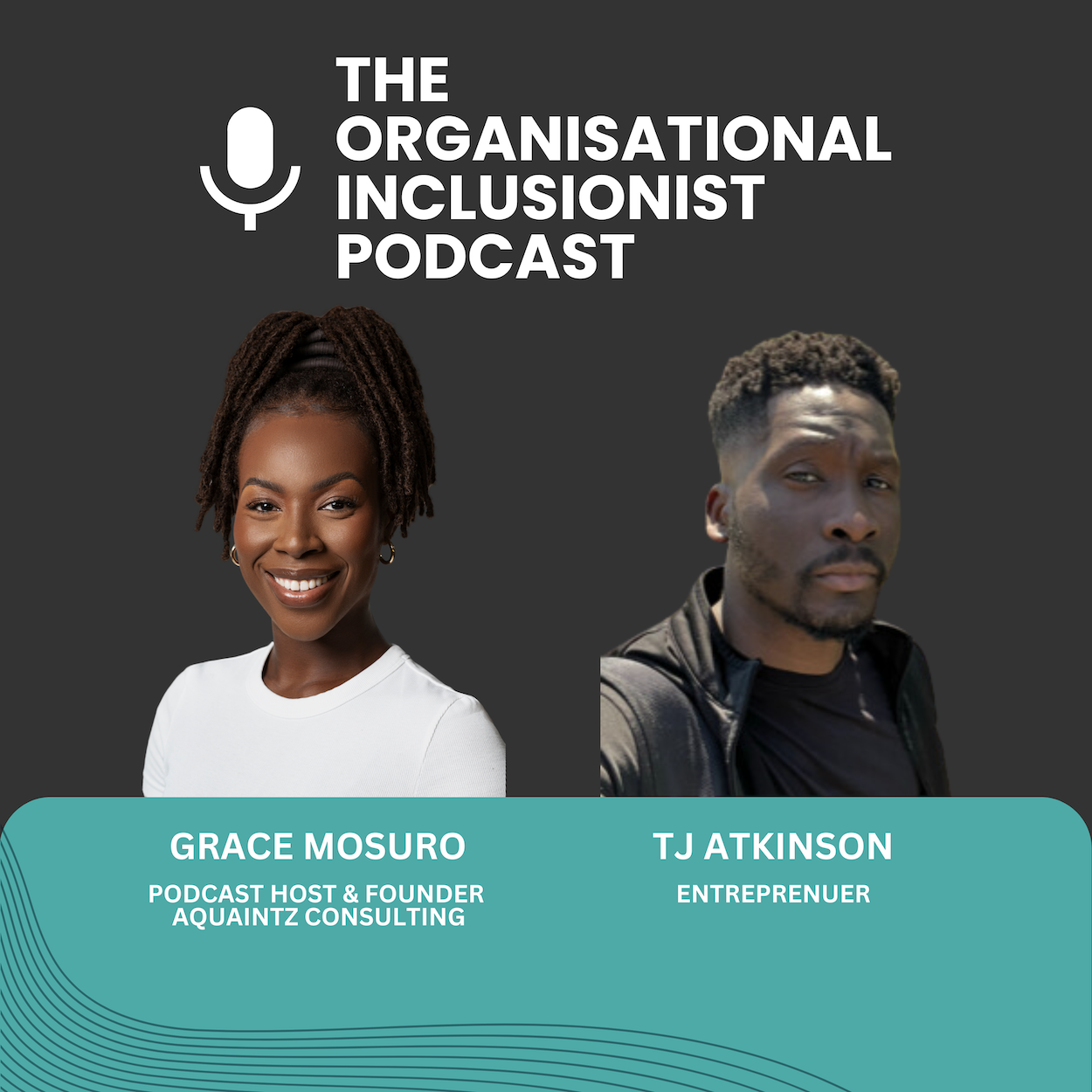 The Organisational Inclusionist