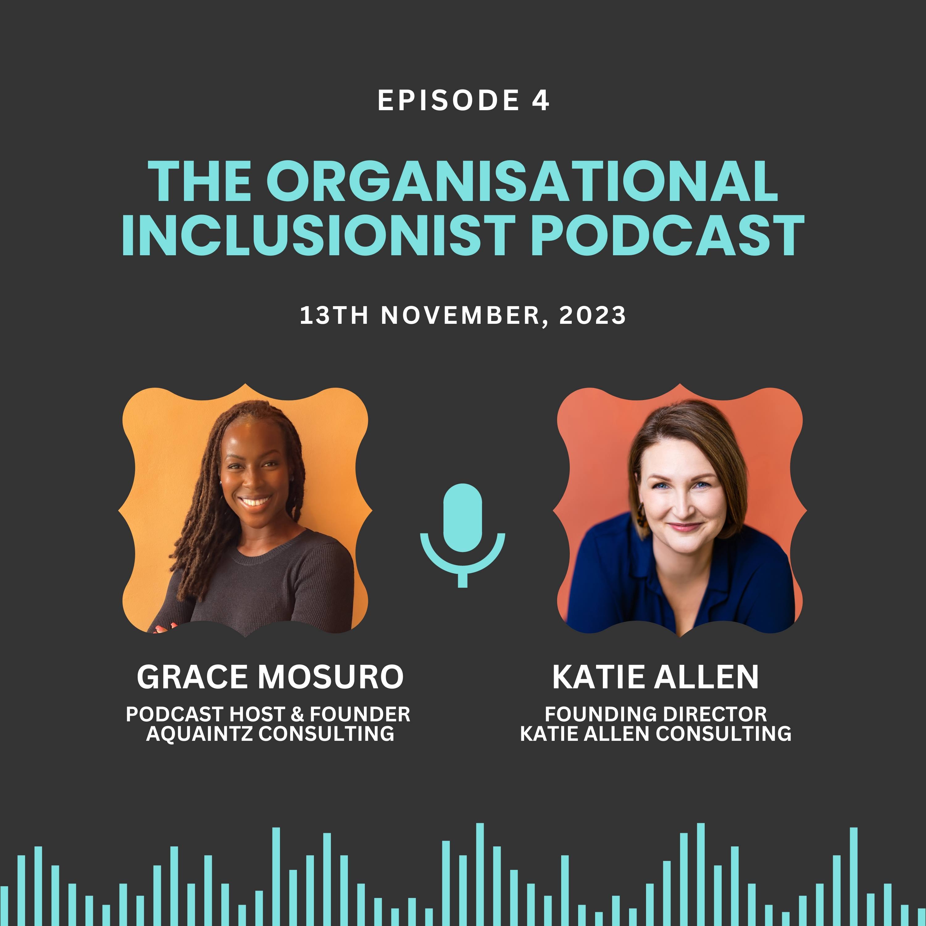The Organisational Inclusionist