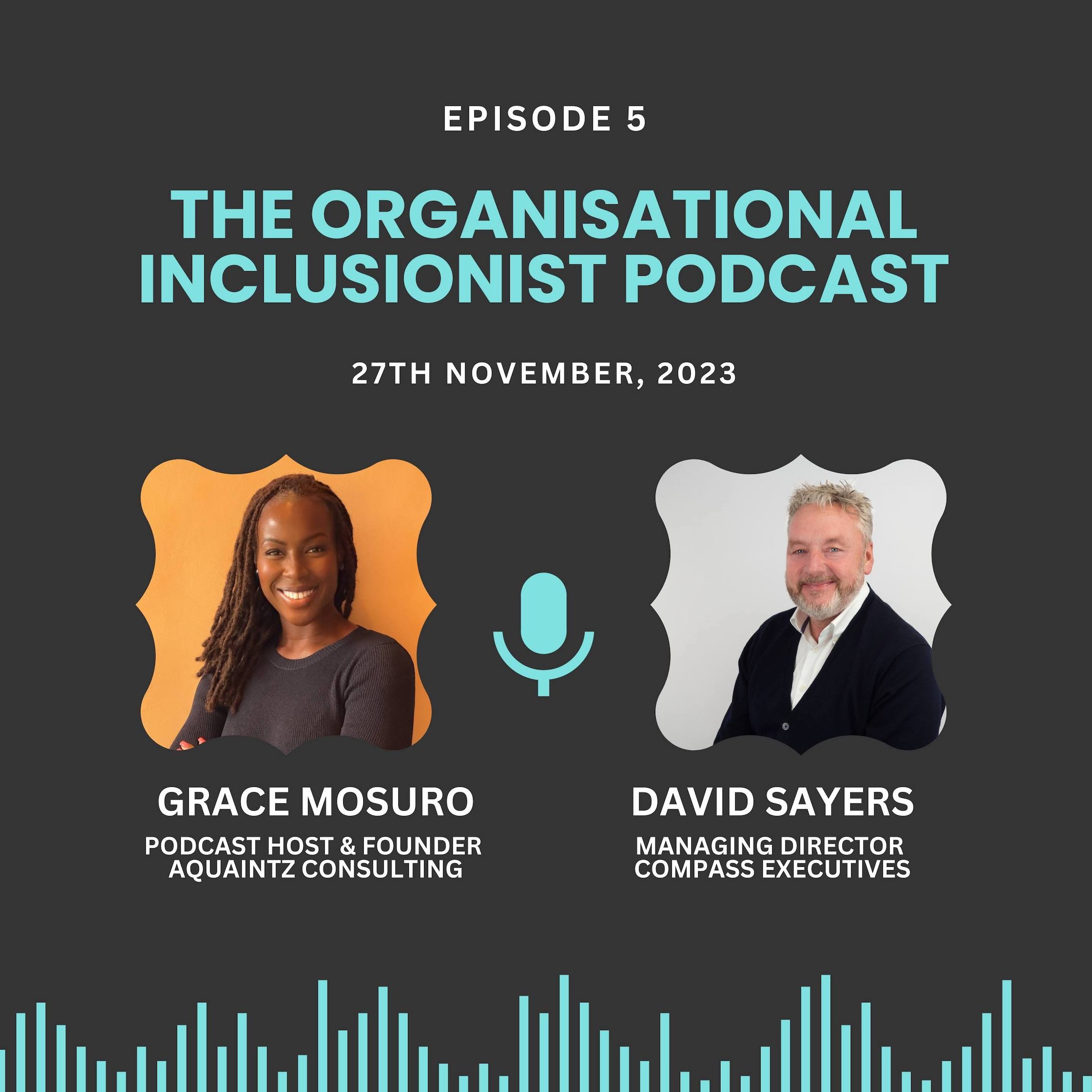 The Organisational Inclusionist