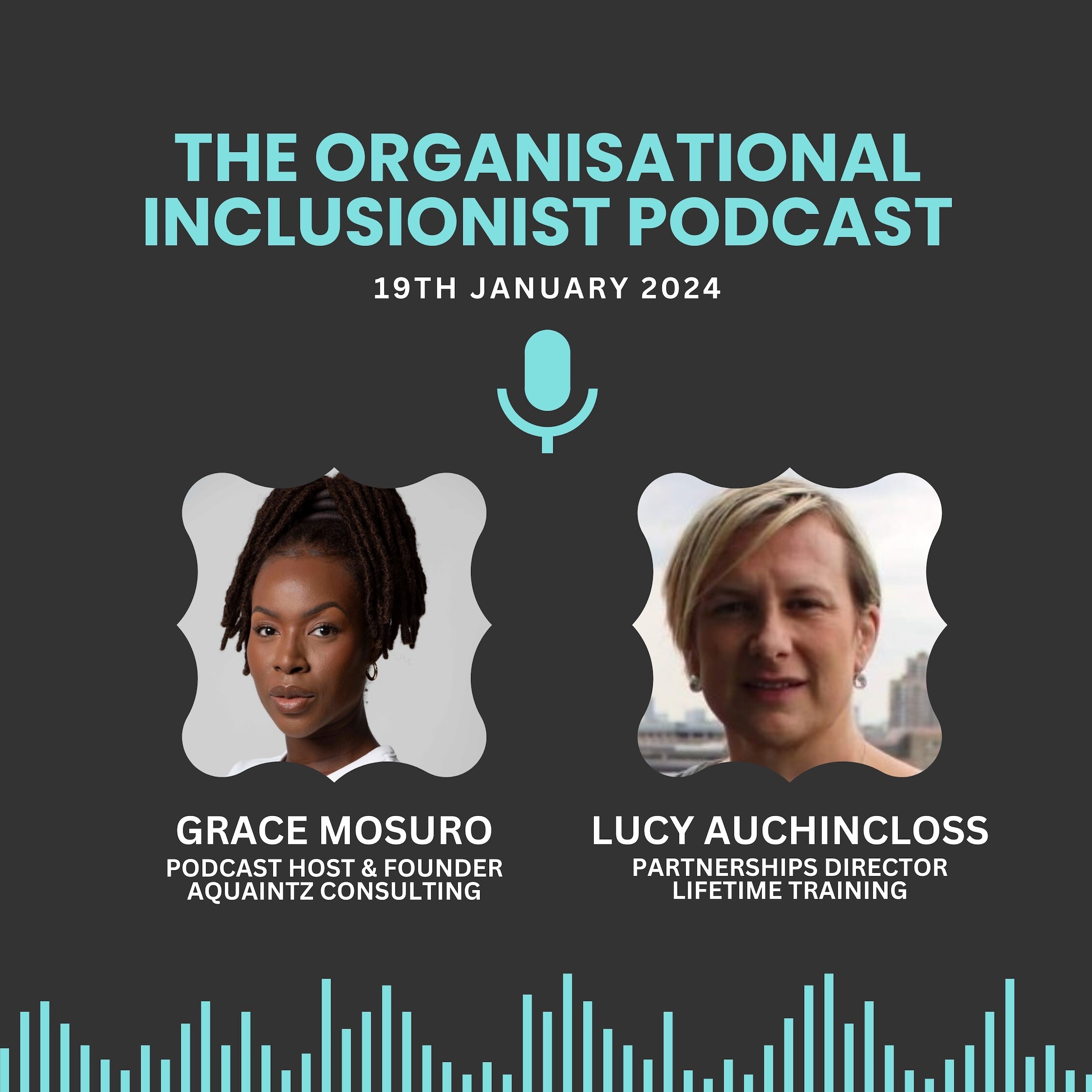 The Organisational Inclusionist