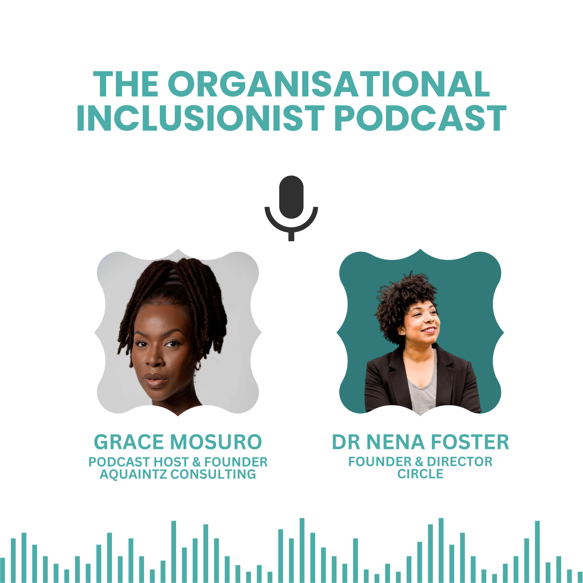 The Organisational Inclusionist