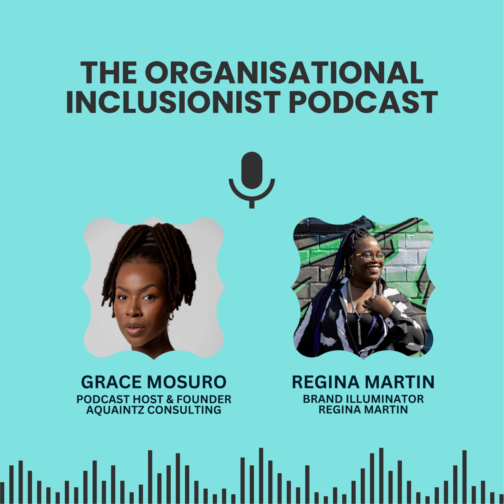 The Organisational Inclusionist