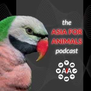 Welcome to the Asia for Animals podcast!