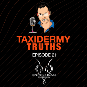Taxidermy Truth | Episode 21 | In the Details