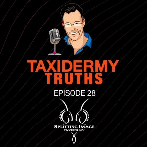 Taxidermy Truths | Episode 28 | All things Replicas