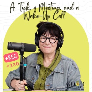 230: A Tick, a Meeting, and a Wake-Up Call