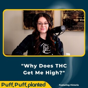 16: Why Does THC Get Me High?
