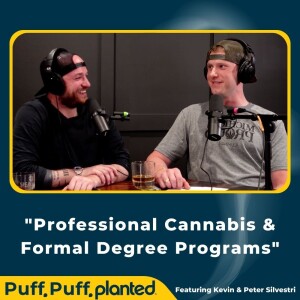 3 - Professional Cannabis & Formal Degree Programs