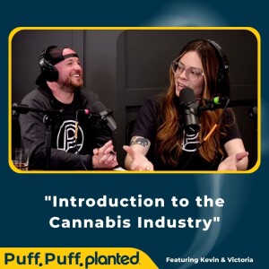 1 - Introduction to the Cannabis Industry