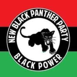 Racism and The New Black Panther Party in Kansas City